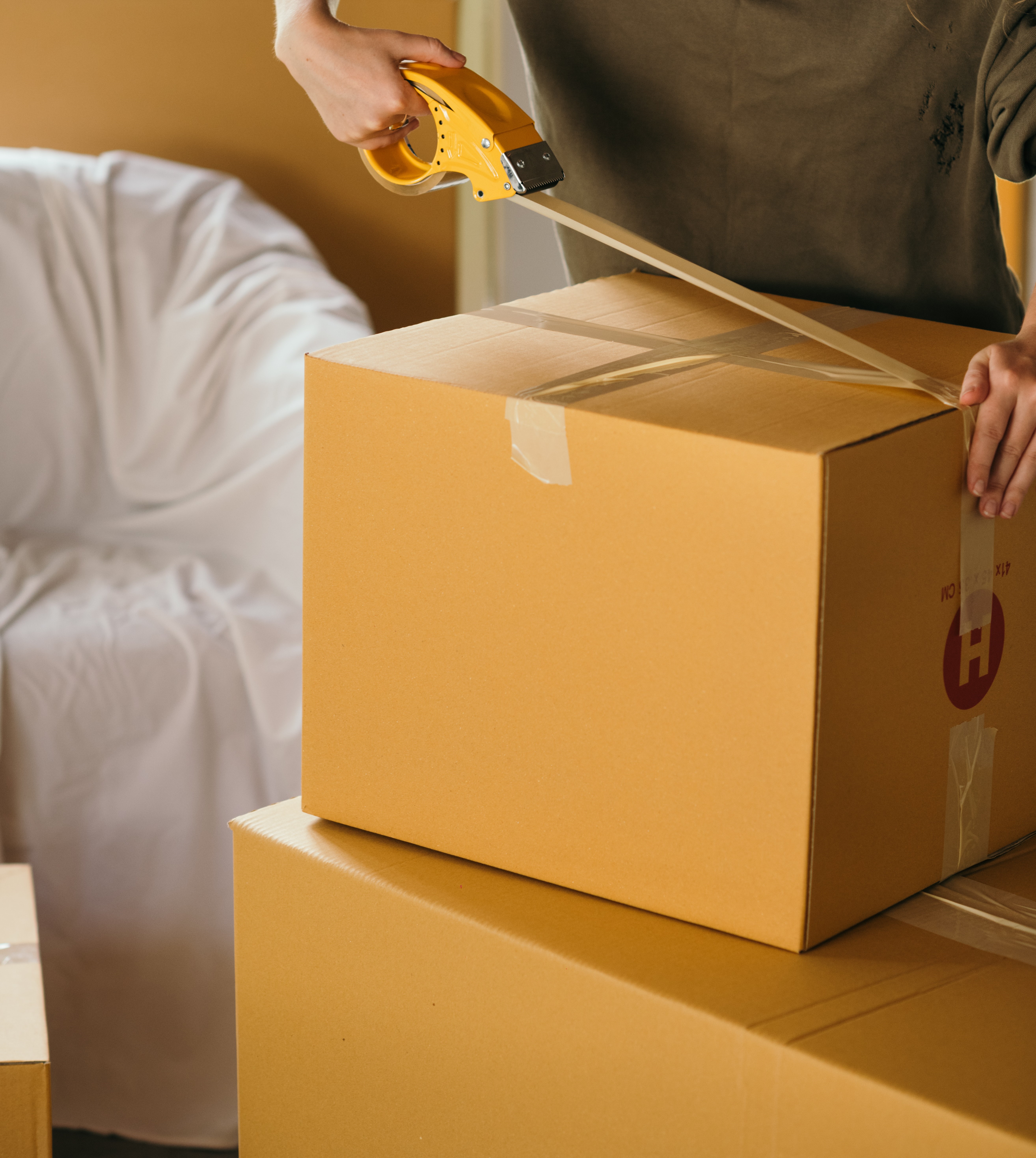   Service NSW must launch urgent investigation Main Image